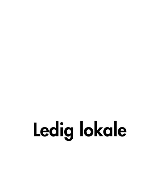Lokale midt i Steinkjer Sentrum
